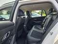 BMW 320 Baureihe 3 Touring 320 d xDrive Advantage Blanc - thumbnail 11