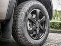 Volkswagen Amarok PanAmericana DC 3.0 TDI LEDER STANDHZ Beige - thumbnail 14