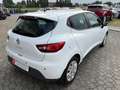 Renault Clio Clio 1.2 75CV GPL 5 porte Live Wit - thumbnail 4