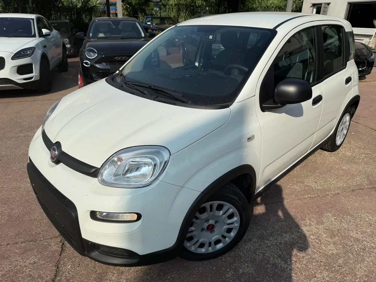 Fiat Panda FIREFLY HYBRID PRONTA CONSEGNA Bianco - 2