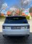 Land Rover Range Rover Sport Range Rover Sport SD4 S (neuer Motor) Blanc - thumbnail 2