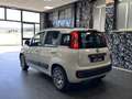 Fiat Panda 1.2 Lounge 69cv Bianco - thumbnail 4