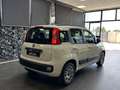 Fiat Panda 1.2 Lounge 69cv Bianco - thumbnail 5