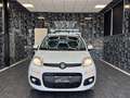 Fiat Panda 1.2 Lounge 69cv Bianco - thumbnail 2