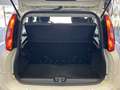 Fiat Panda 1.2 Lounge 69cv Bianco - thumbnail 11