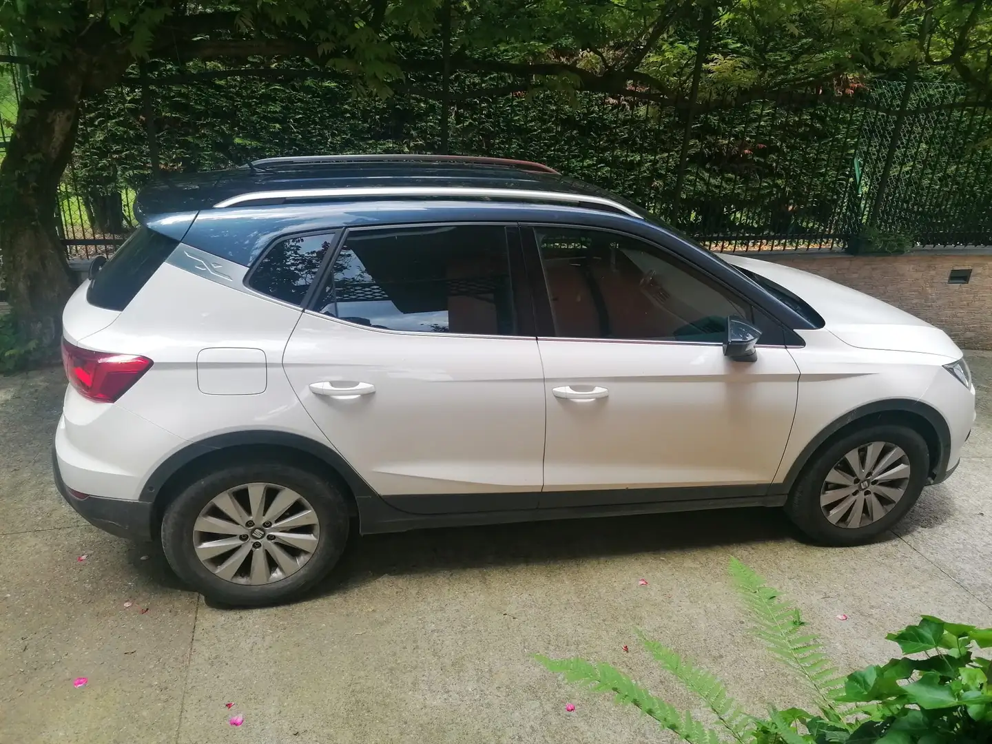 SEAT Arona Arona 2022 1.0 ecotsi Xperience 110cv dsg Bianco - 1