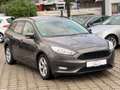 Ford Focus Turnier Business / AHK / Grau - thumbnail 1