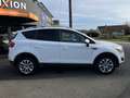 Ford Kuga 2.0 TDCI 140CH FAP TITANIUM Blanc - thumbnail 2