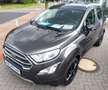 Ford EcoSport Titanium AHK Kamera Navi B&O Soundsystem Key Free Grau - thumbnail 3