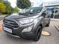 Ford EcoSport Titanium AHK Kamera Navi B&O Soundsystem Key Free Grau - thumbnail 5