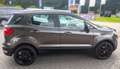 Ford EcoSport Titanium AHK Kamera Navi B&O Soundsystem Key Free Grau - thumbnail 17