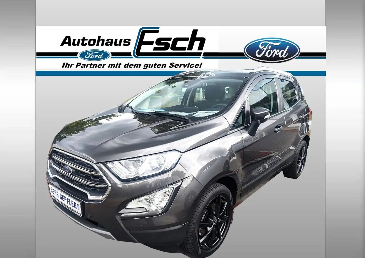 Ford EcoSport Titanium AHK Kamera Navi B&O Soundsystem Key Free Grau - 1