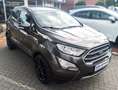Ford EcoSport Titanium AHK Kamera Navi B&O Soundsystem Key Free Grau - thumbnail 20
