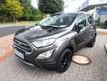 Ford EcoSport Titanium AHK Kamera Navi B&O Soundsystem Key Free Grau - thumbnail 7