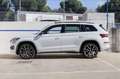 Skoda Kodiaq 2.0 TDI 147KW 200cv DSG 4x4 Sportline Wit - thumbnail 18