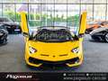 Lamborghini Aventador SVJ Roadster*COLLECTOR*CARBON*LIFT*PPF*20/21 Gelb - thumbnail 10