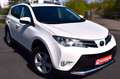 Toyota RAV 4 RAV4 Executive LEDER,NAVI,AHK, Weiß - thumbnail 2