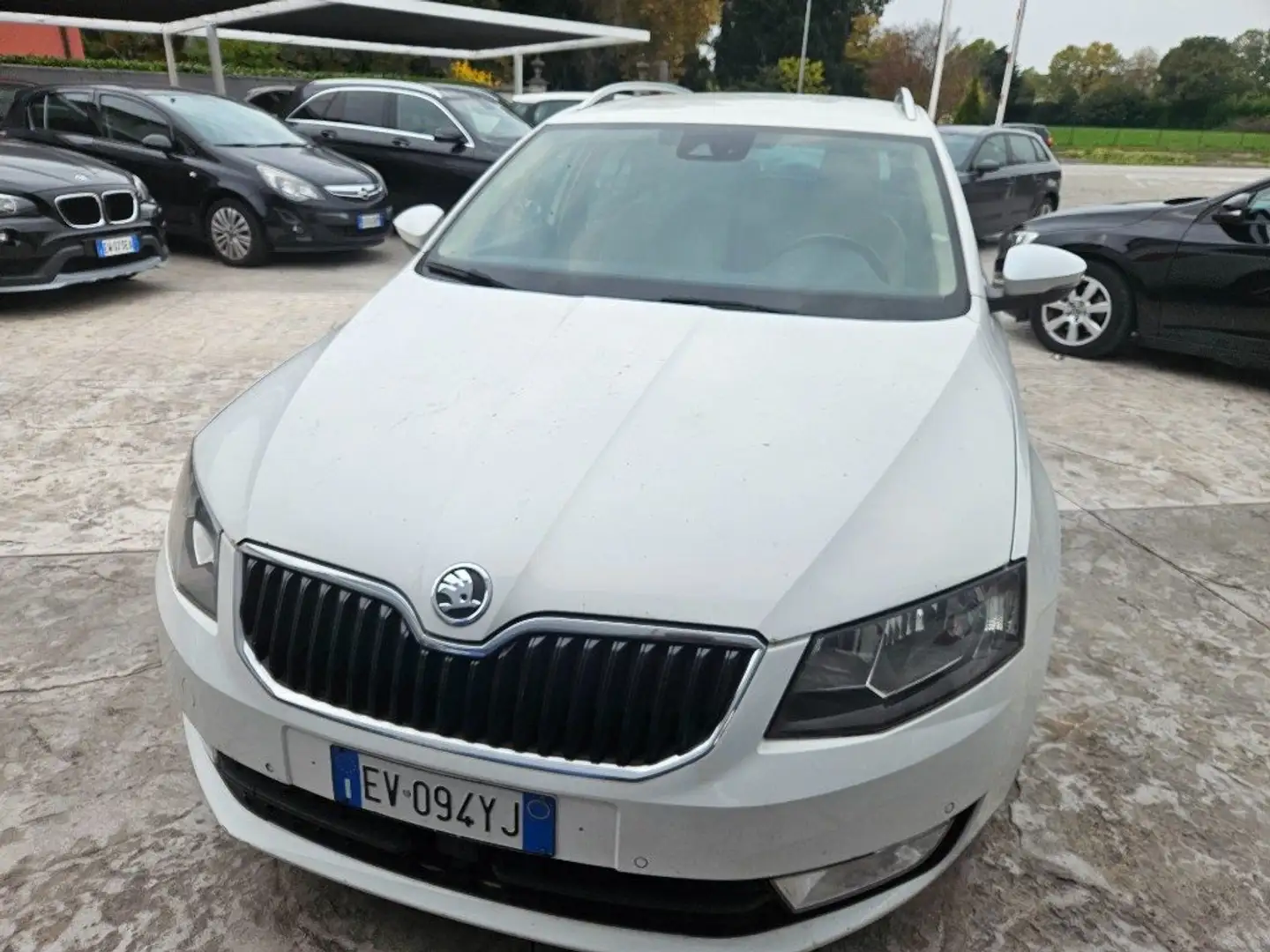 Skoda Octavia 2.0 TDI CR DSG Wagon Executive Bianco - 2