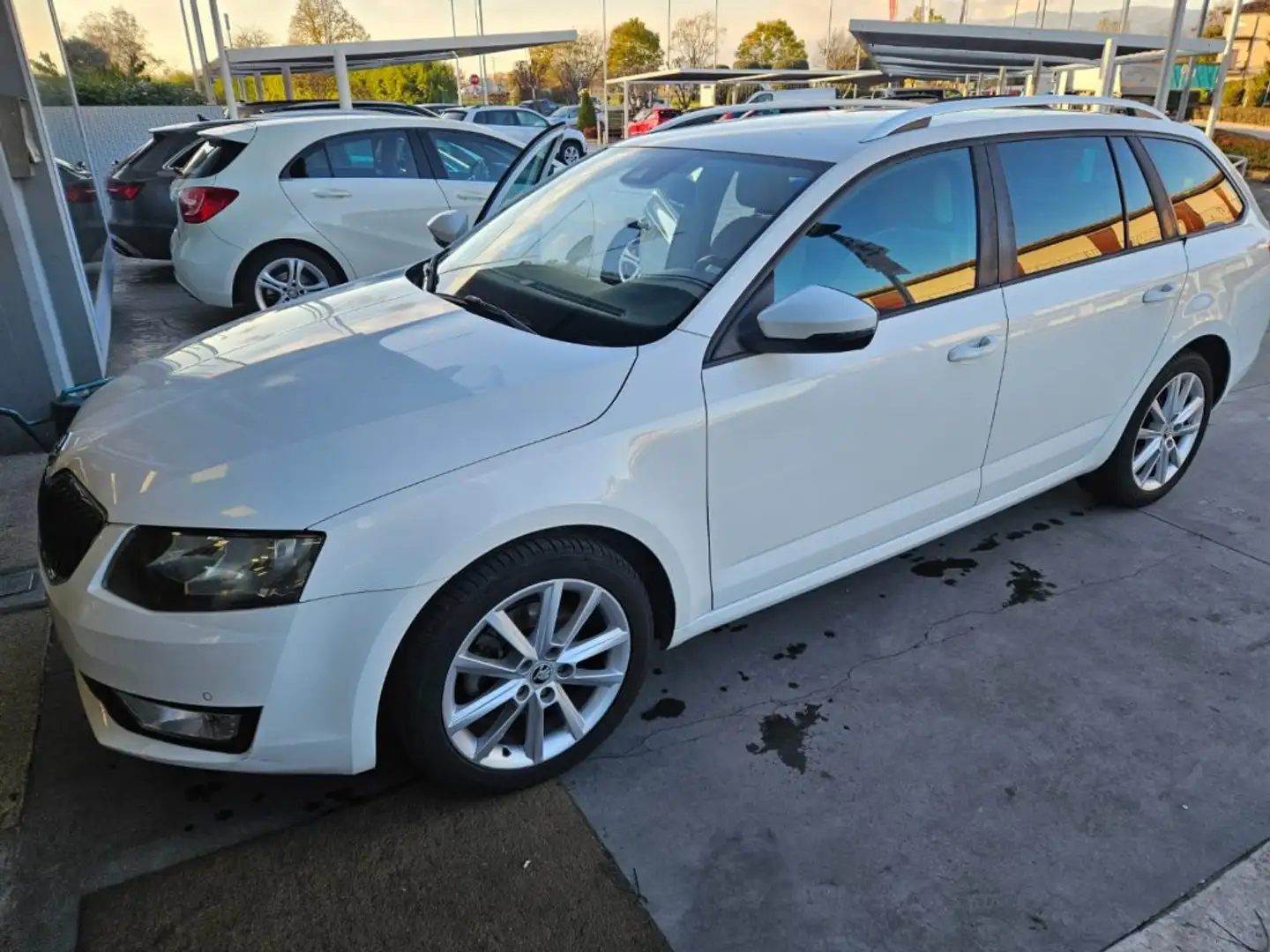 Skoda Octavia 2.0 TDI CR DSG Wagon Executive Bianco - 1