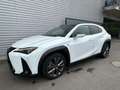 Lexus UX 250h F SPORT Design Noir - thumbnail 22