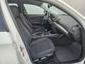 BMW 116 116d, Pickerl bis 05.2026+4 Monate Weiß - thumbnail 12