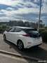 Nissan Leaf 2. 40 kw business Connecta 150 cv Weiß - thumbnail 4