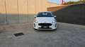 Ford Fiesta Fiesta 1.1 5 porte Plus Bianco - thumbnail 4