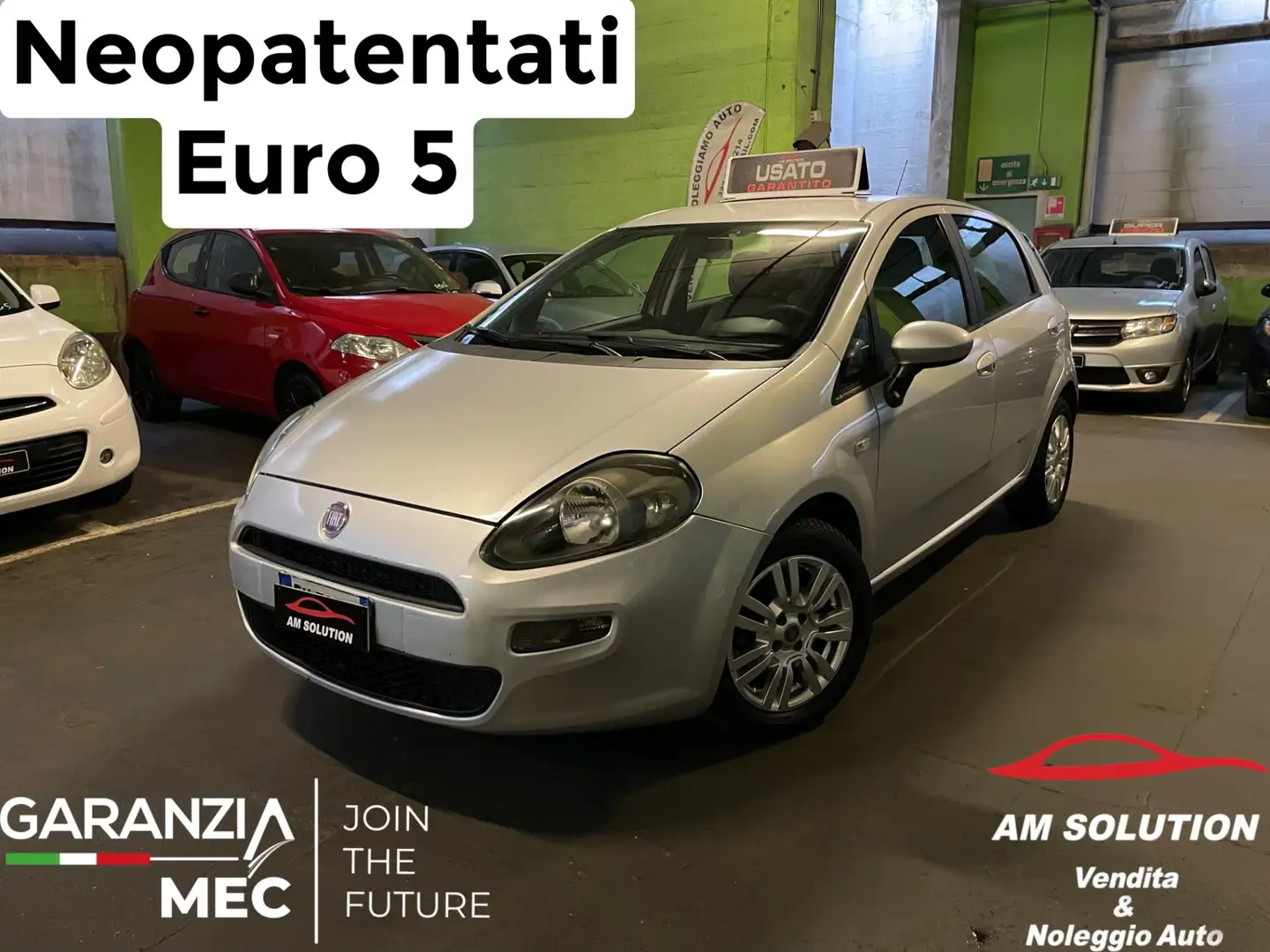 Fiat Punto Punto 1.2 Neopatentati Euro 5 Argento - 1