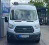 Ford Transit 350 L2 Trend // 1.BESITZ // DACHGALERIE // AHK // Weiß - thumbnail 3
