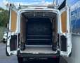 Ford Transit 350 L2 Trend // 1.BESITZ // DACHGALERIE // AHK // Weiß - thumbnail 6