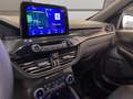 Ford Kuga 2.0 ecoblue ST-Line 2wd 120cv auto Grau - thumbnail 11