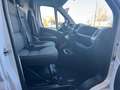 Fiat Ducato Passo Lungo LH2  2.3 Multijet 140CV E6D-temp Blanc - thumbnail 14