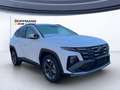 Hyundai TUCSON TUCSON FL HEV (MY25) 1.6 T-GDi, (215PS) 6-AT 2WD Blanc - thumbnail 2