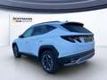 Hyundai TUCSON TUCSON FL HEV (MY25) 1.6 T-GDi, (215PS) 6-AT 2WD Blanc - thumbnail 4