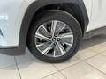 Hyundai TUCSON 1.6T-GDi 150cv MHEV Feel 2022 Airco/Clim/Carplay Blanc - thumbnail 2
