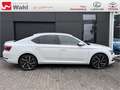 Skoda Superb 2.0 TSI Style Bianco - thumbnail 18