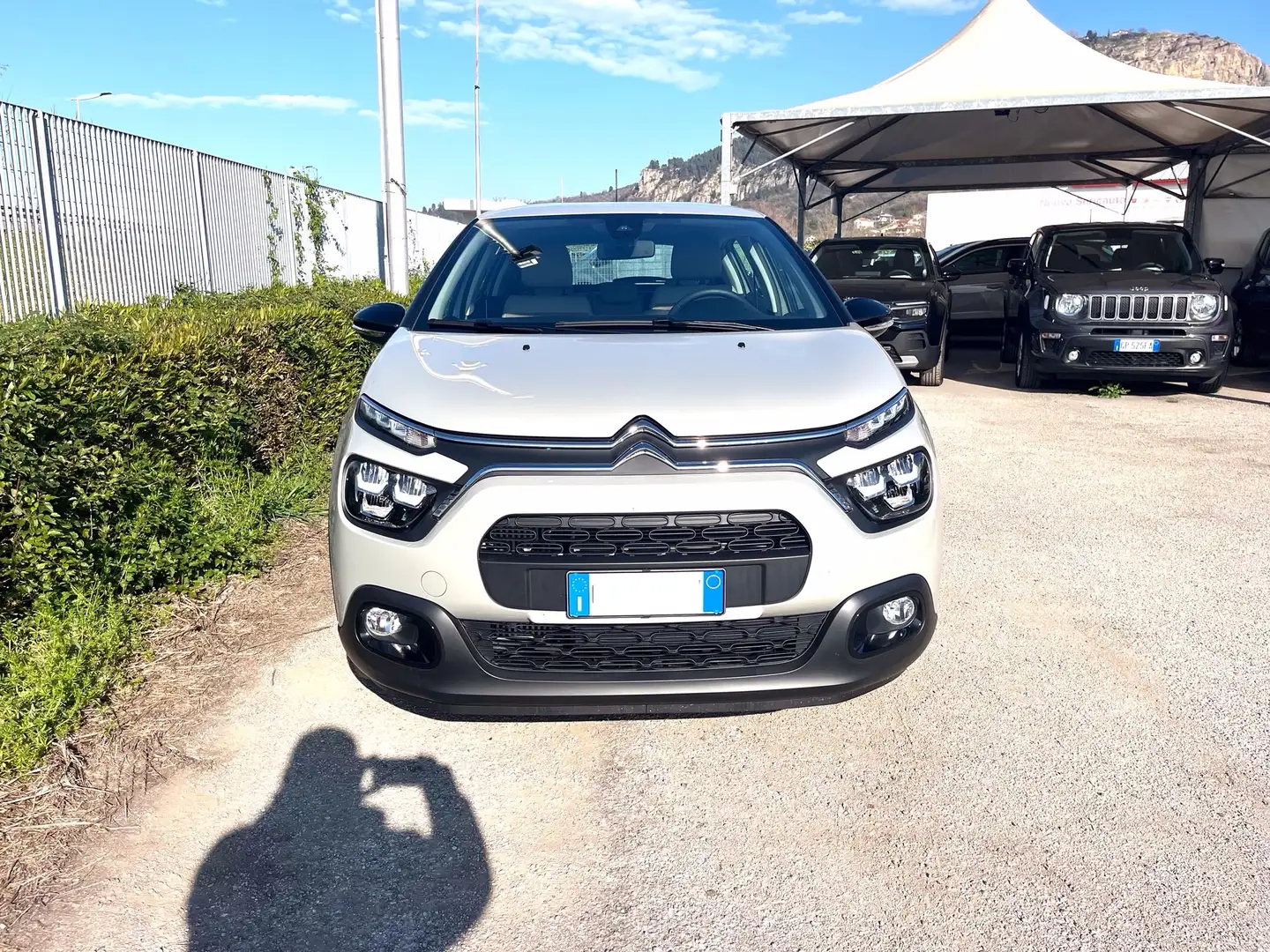 Citroen C3 C3 1.5 hdi Plus Isabel teckwood Grigio - 2