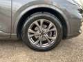 Ford Kuga 1.5 Ecoblue 120cv ST-LINE 2WD Aut. Gris - thumbnail 3