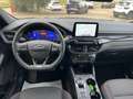 Ford Kuga 1.5 Ecoblue 120cv ST-LINE 2WD Aut. Gris - thumbnail 14