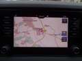 Skoda Karoq 2.0 TDI Style 4x4 LED Navi Kamera Gris - thumbnail 11