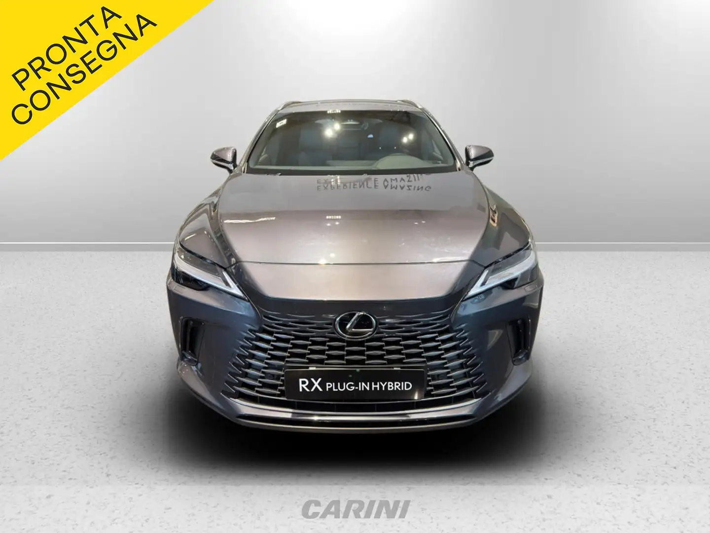 Lexus RX 450h 450h+ 2.5 phev executive e-cvt Grigio - 2