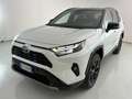 Toyota RAV 4 2.5 VVT-iE Hybrid Style White - thumbnail 1