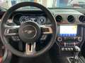 Ford Mustang 5,0 v8 Convertible Grigio - thumbnail 7