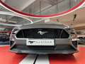 Ford Mustang 5,0 v8 Convertible Grigio - thumbnail 2