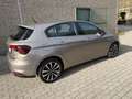 Fiat Tipo 5p 1.3 mjt Lounge s&s 95cv Beige - thumbnail 4
