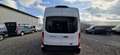 Ford Transit 350 Kasten L4H3*Reisebus*9Sitze*el.Lift Weiß - thumbnail 20