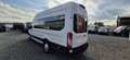 Ford Transit 350 Kasten L4H3*Reisebus*9Sitze*el.Lift Weiß - thumbnail 17