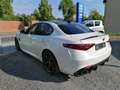 Alfa Romeo Giulia Quadrifoglio (952) Blanc - thumbnail 4