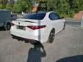 Alfa Romeo Giulia Quadrifoglio (952) Wit - thumbnail 3