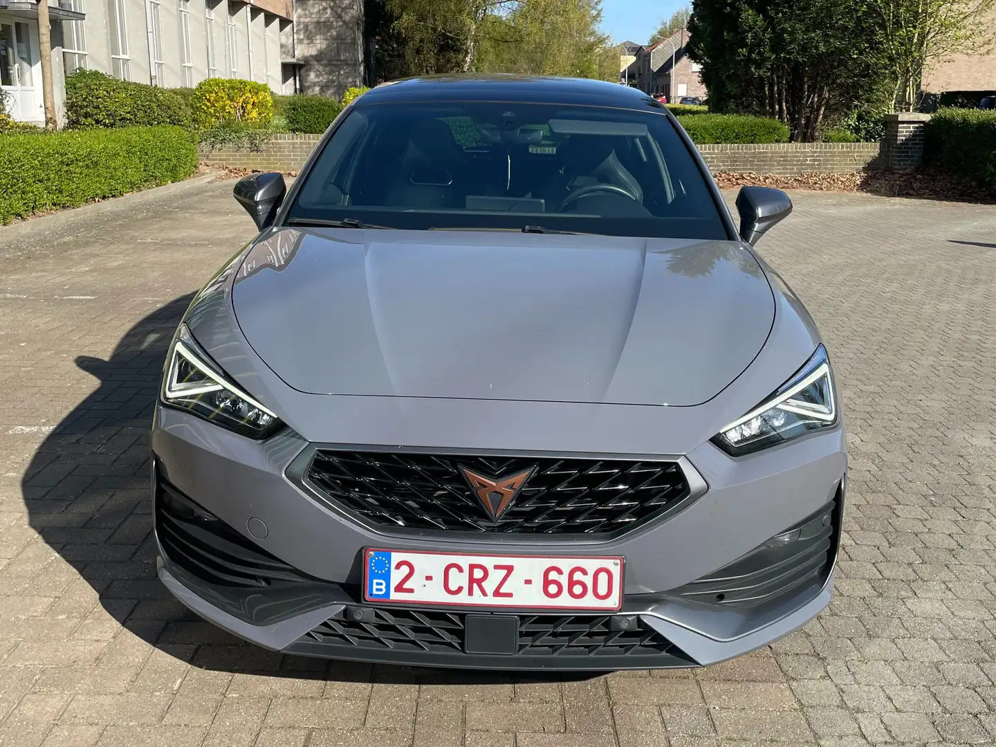 CUPRA Leon Leon 2.0 TSI DSG Grijs - 2